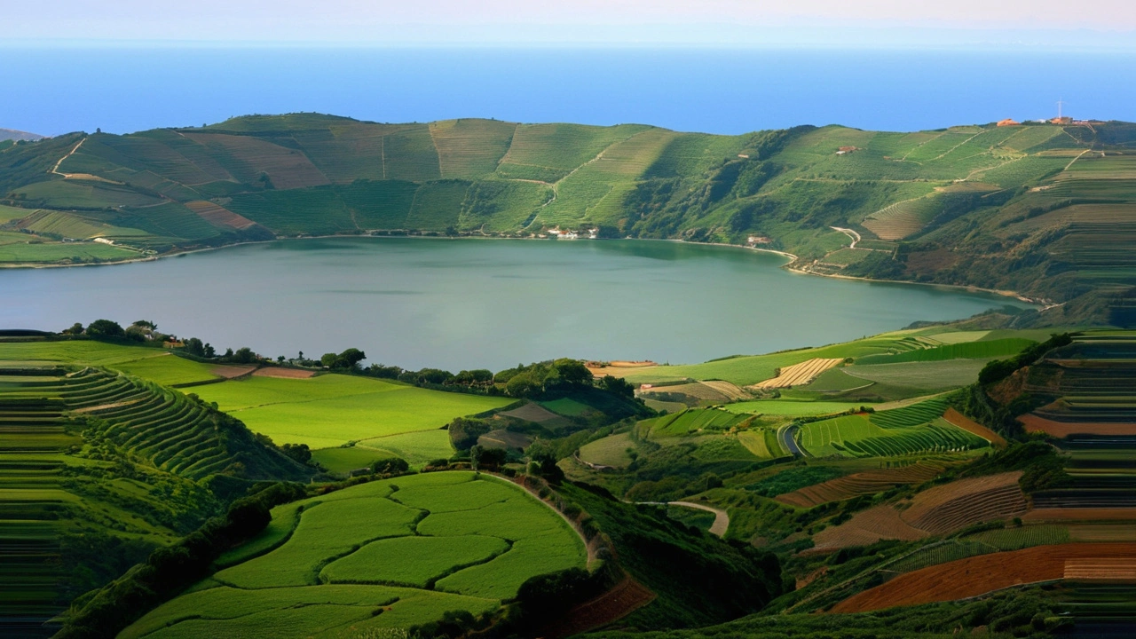 Frutas Brasileiras e 'Vacas Felizes' Atraem Turistas na Ilha Portuguesa dos Açores